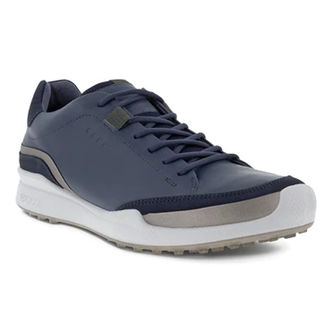 Zapatos Casuales Ecco Biom Hybrid Encaje Up Hombre Plateadas / Azules | 751-MWCQFK