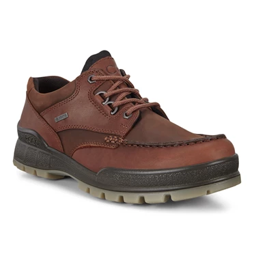 Zapatos Casuales Ecco Pista 25 Low Tops Hombre Marrones | 932-HMYPSR