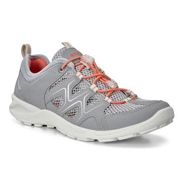 Zapatos De Senderismo Ecco Terracruise Lt Outdoor Mujer Plateadas Gris / Plateadas Metal | 879-PSFBJ