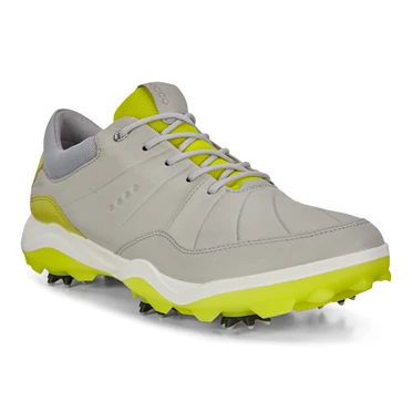 Zapatos de Golf Ecco Cleatededed Strike Hombre Gris | 164-LVSDNA